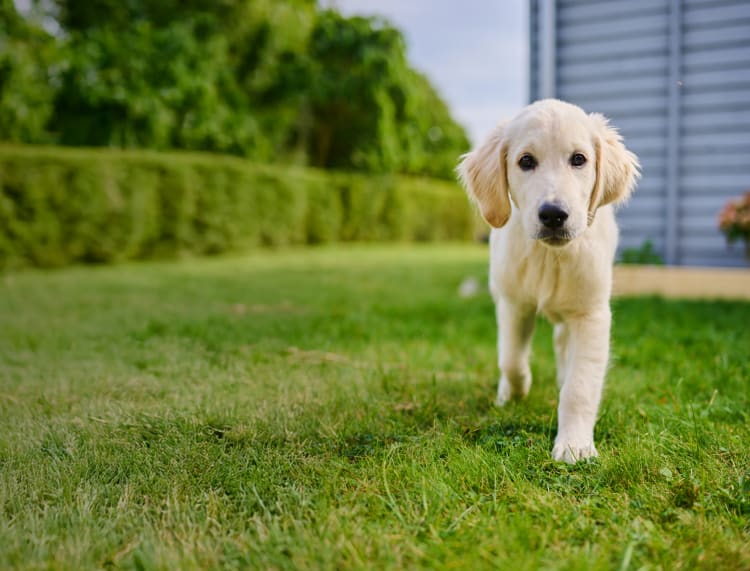 Interim Report Q1 2026