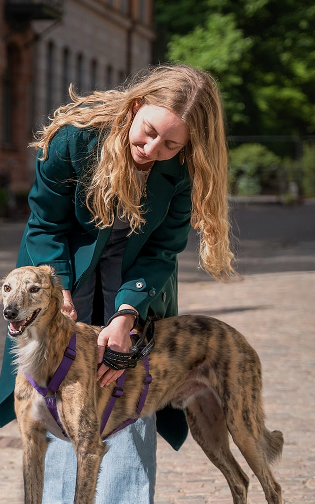 Swedencare Annual Report 2025