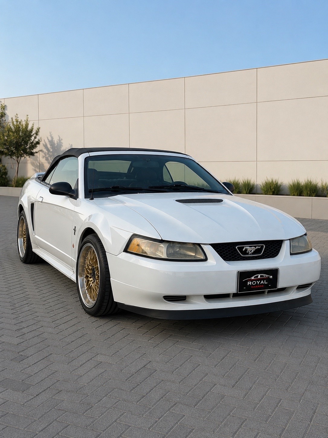 Ford Mustang 2001