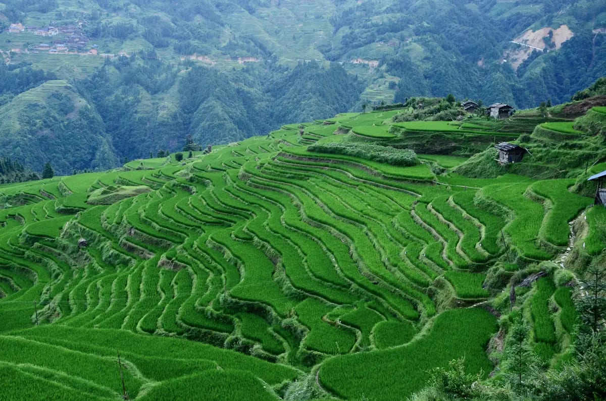 Banaue Rice Terraces Heritage Tour: photo 3
