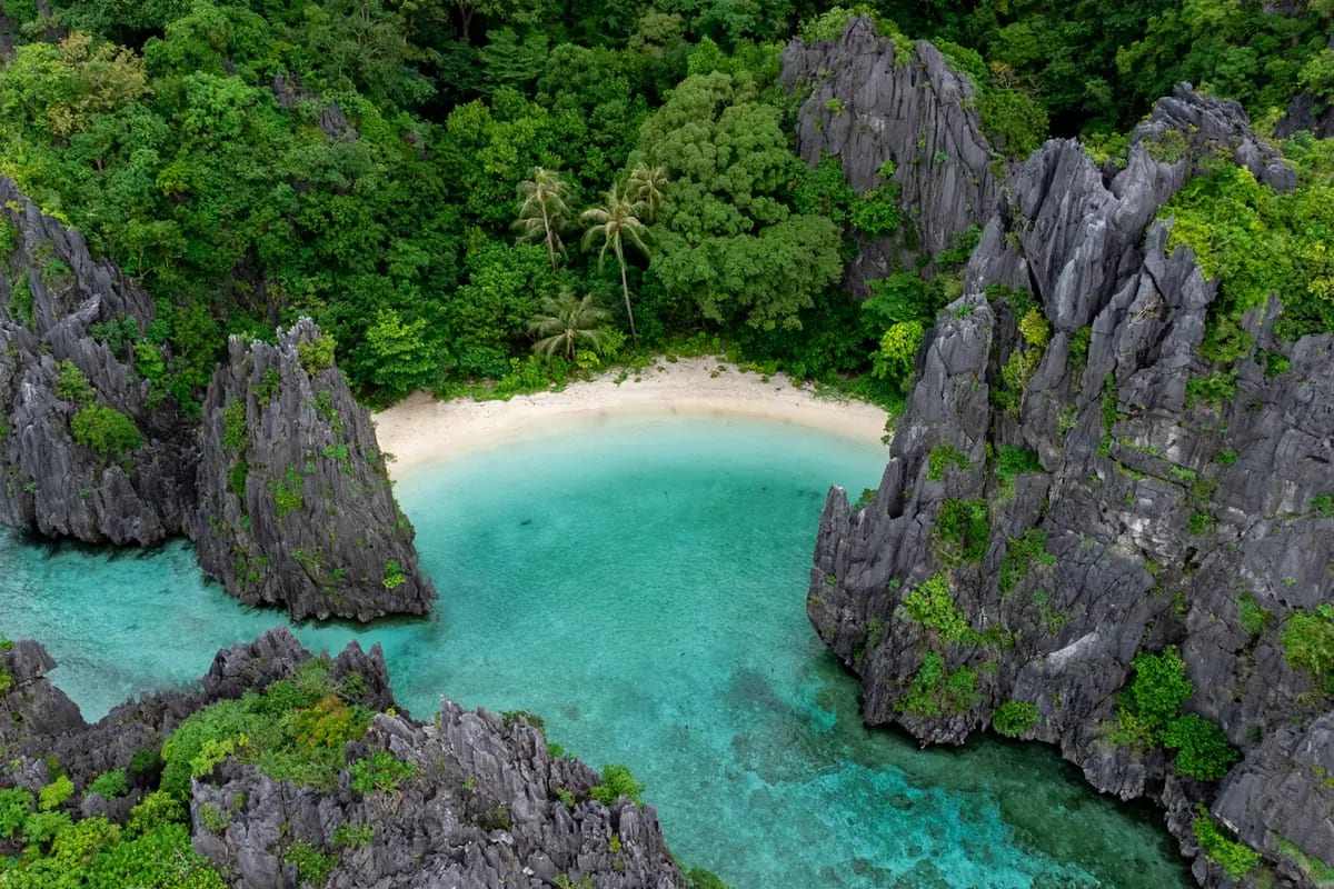 Palawan Island Paradise: photo 2
