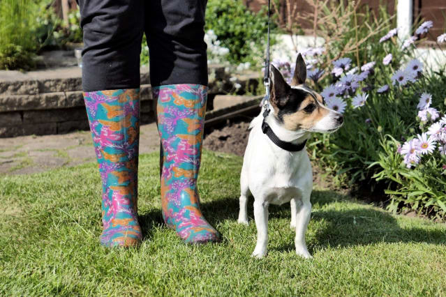 A small dog in a garden with the owner's legs visible