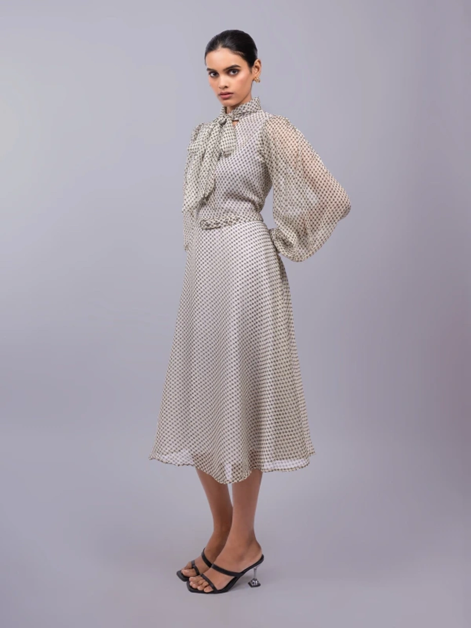 Off-White Formal Tie-up Neck Bishop Sleeve Fit and Flare Dress 4