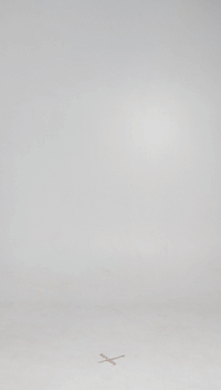 Converted GIF