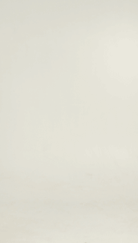 Converted GIF