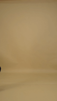 Converted GIF