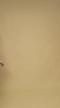 Converted GIF