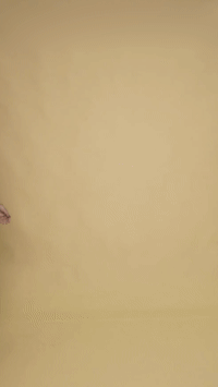 Converted GIF