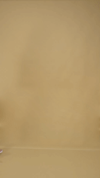 Converted GIF