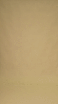 Converted GIF