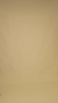Converted GIF