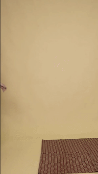 Converted GIF