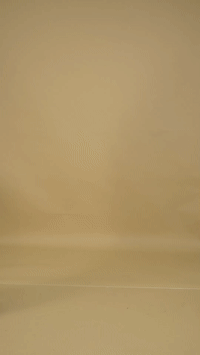 Converted GIF