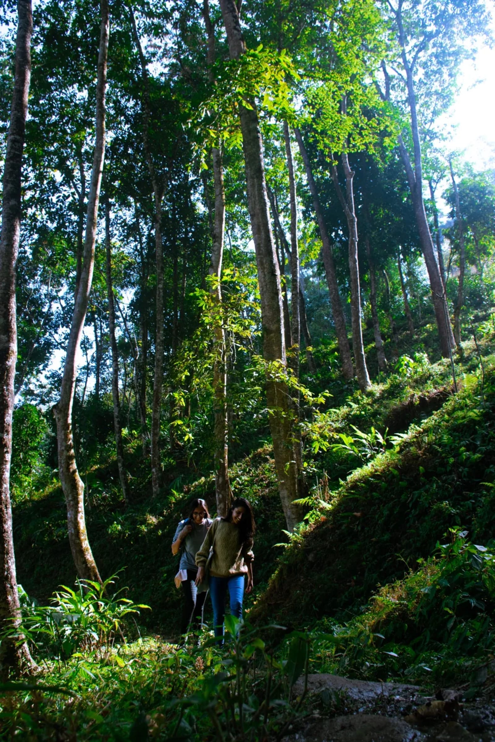 walks