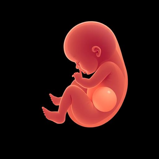 Как выглядит ребенок на 8 неделе беременности: удивительное развитие