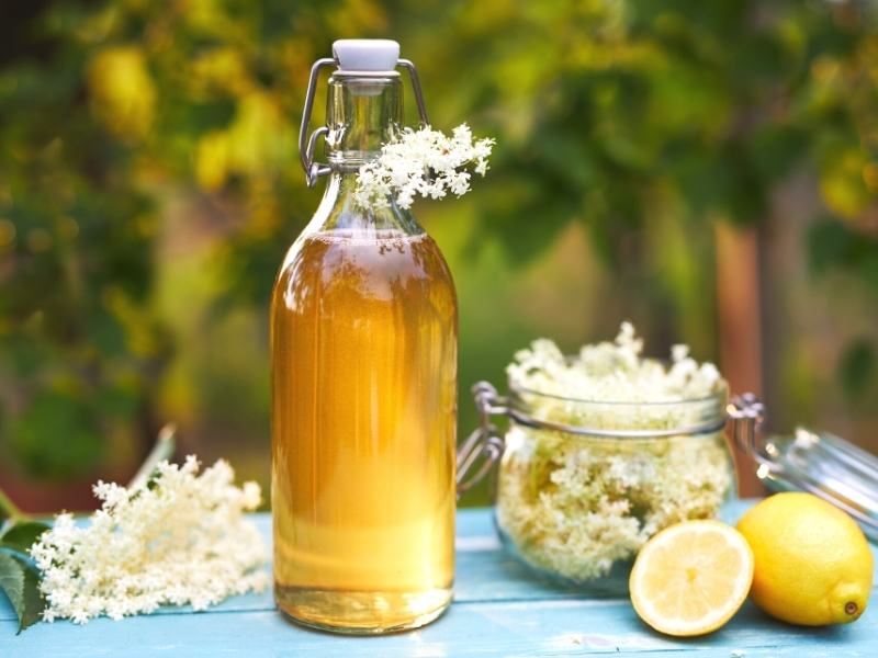 Holunderblütensirup