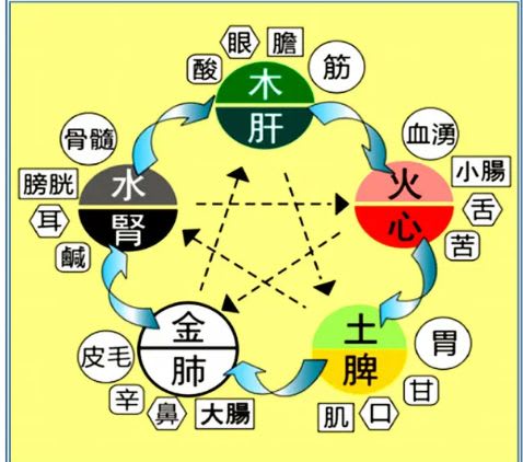 心安静心学堂开启身心同调新体验