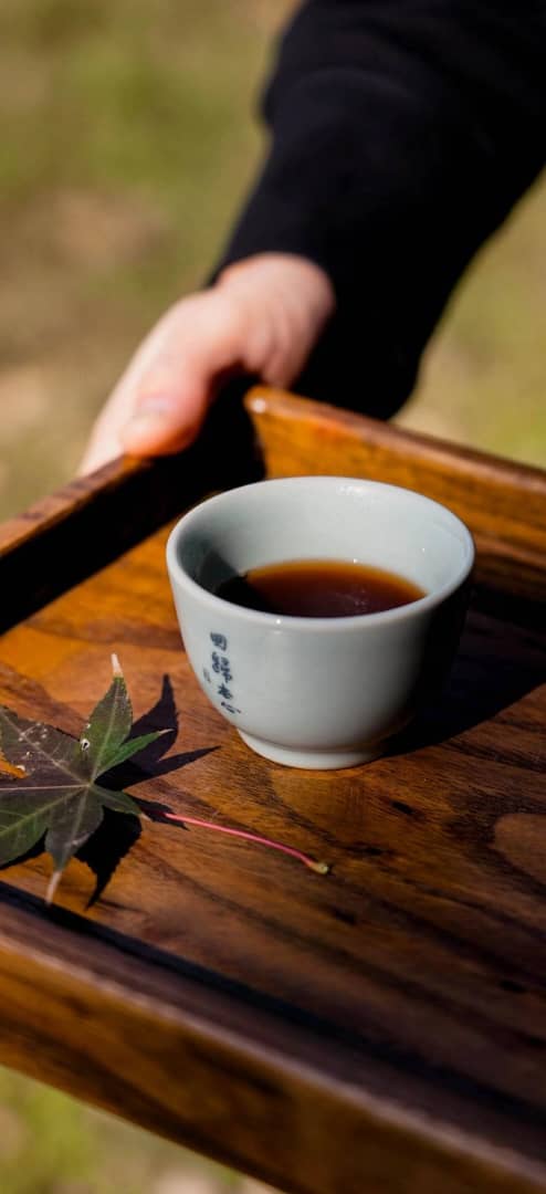 安心禅茶读书会