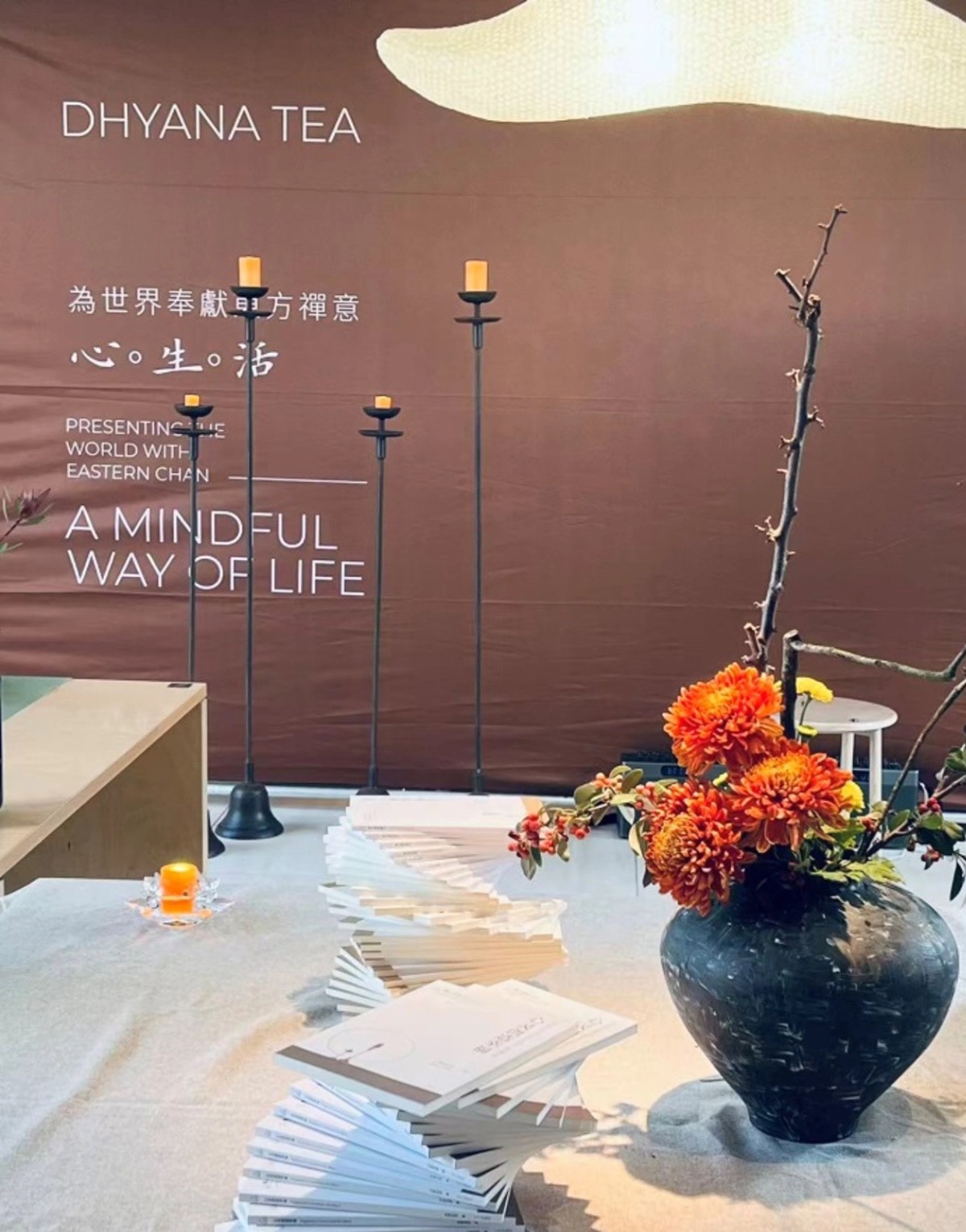 正见新境,静心启航