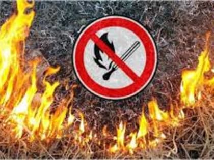 Внимание! На Черноморском побережье ожидается высокая пожароопасность