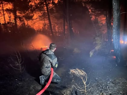 В Геленджике сохраняется высокая пожароопасность
