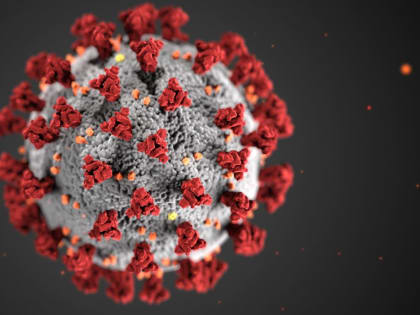 В Краснодарском крае развернули 80 ковидных коек. Количество заболевших растет