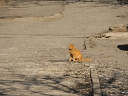 В Новороссийске перестали благоустраивать дворы. И больше не будут?