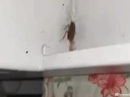 Я побывала в аду, я не спала три ночи