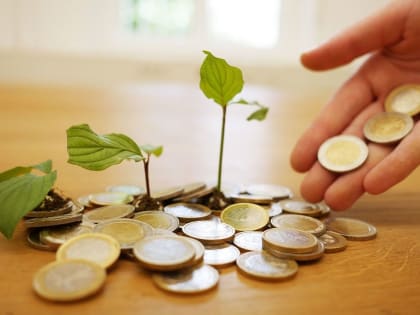 Больше половины работодателей подняли зарплаты в 2024 году