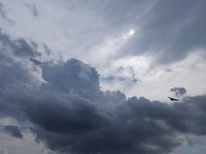 Синоптик Александр Шувалов: в Краснодарском крае выпадет до 20 мм осадков