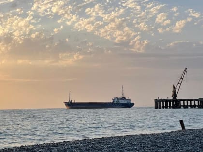 В Госдуме предложили приостановить вылов рыбы в Чёрном и Азовском морях