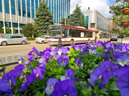В Краснодарском крае прогнозируют до +20 градусов 30 января