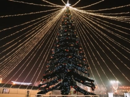 Под конец рождественских праздников на Кубани будет до +15 градусов