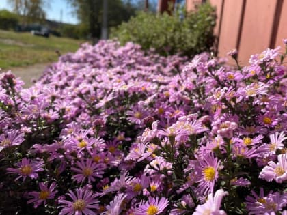 Бабье лето идет на Кубань. Метеозависимым нужно следить за здоровьем