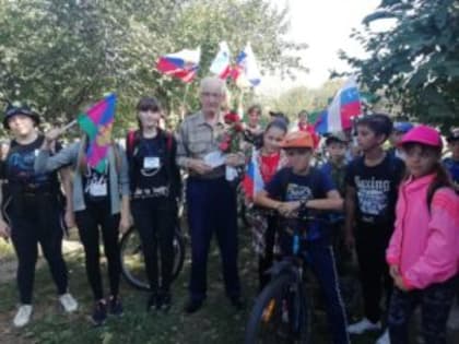 Робинзонада -2019