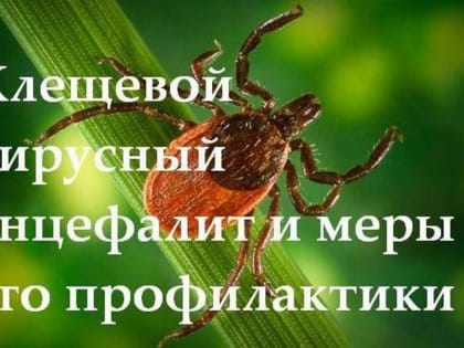 Клещевой вирусный энцефалит (КВЭ) – острое инфекционное вирусное заболевание, с преимущественным поражением центральной нервной системы