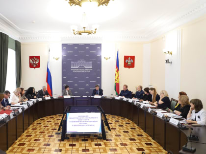 Информация об участии в заседании общественного экспертного совета при Уполномоченном по правам ребенка в Краснодарском крае