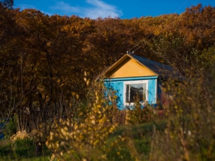 Рискуете опоздать: только "пару дней" осени, когда можно сажать на огороде