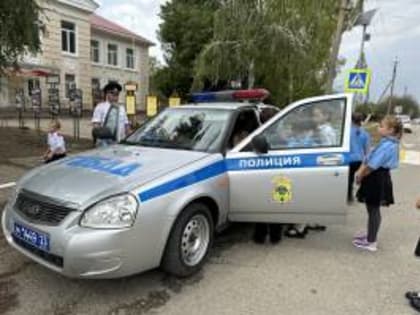 Сотрудниками Госавтоинспекции Староминского района проводятся  практические занятия по правилам дородной грамоты в школах района