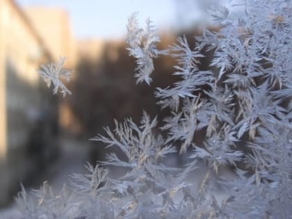 В начале праздничной недели на Кубани похолодает до -8 градусов