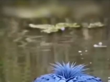 Доброе утро, Славянский район!