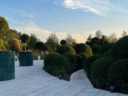 Главный синоптик страны назвал январь самым аномальным месяцем