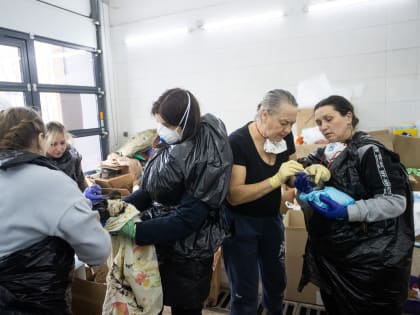 В Анапе и Темрюкском районе Кубани спасли уже около 5 тысяч птиц
