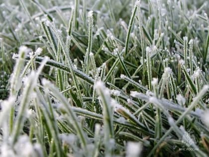 В Краснодарский край вместе с заморозками приходит зима. Синоптики назвали время