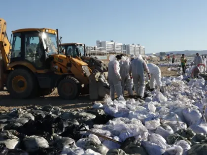 Пробы воды и воздуха в Анапе соответствуют нормам