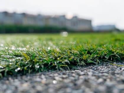 В Адлерском районе Сочи появятся новые спортивные объекты