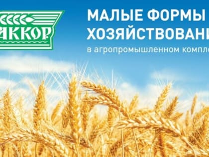 Собрание фермеров и представителей малых форм хозяйствования  28 февраля 2023 года.