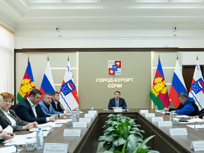 На заседании Совета по делам инвалидов обсудили реализацию в Сочи инклюзивных программ