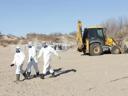 Стали известны результаты исследований воздуха, воды и еды в зоне ЧС на Кубани