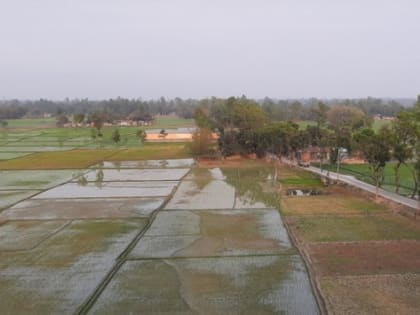 Увеличение доходов бюджета Кубани от аренды земель